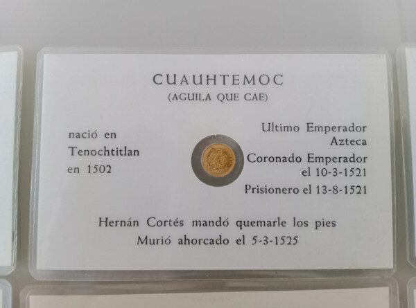 detalle minimoneda de 100