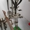 antiquity forging in Badalona