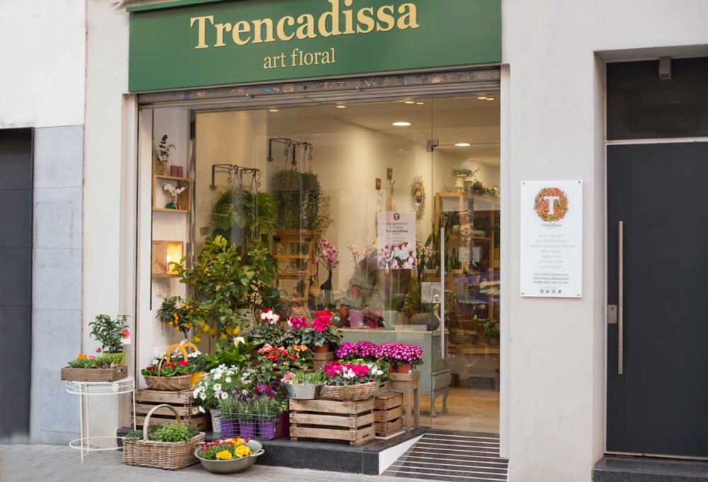 artesania floral badalona flor seca preservada arte