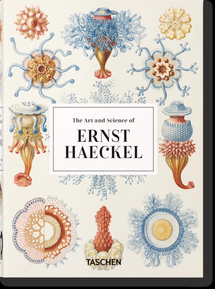 ERNST HAECKEL 40 YEARS - VOSS,JULIA/,WILLMANN,RAINER
