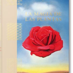 THE MAGIC OF PLANTS - HUNDLEY,JESSICA