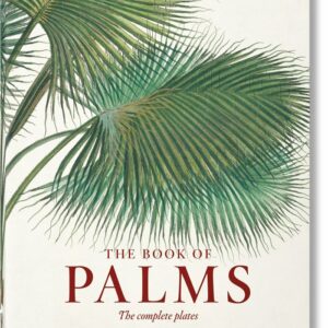 VON MARTIUS THE BOOK OF PALM TREES 40TH ED - LACK, H WALTER