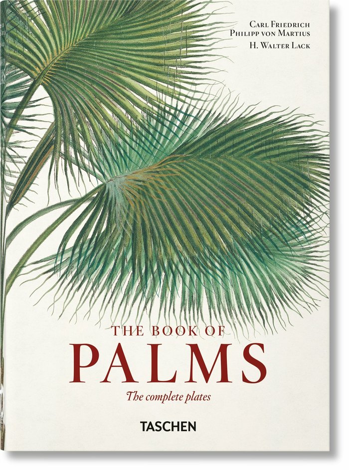 VON MARTIUS THE BOOK OF PALM TREES 40TH ED - LACK, H WALTER
