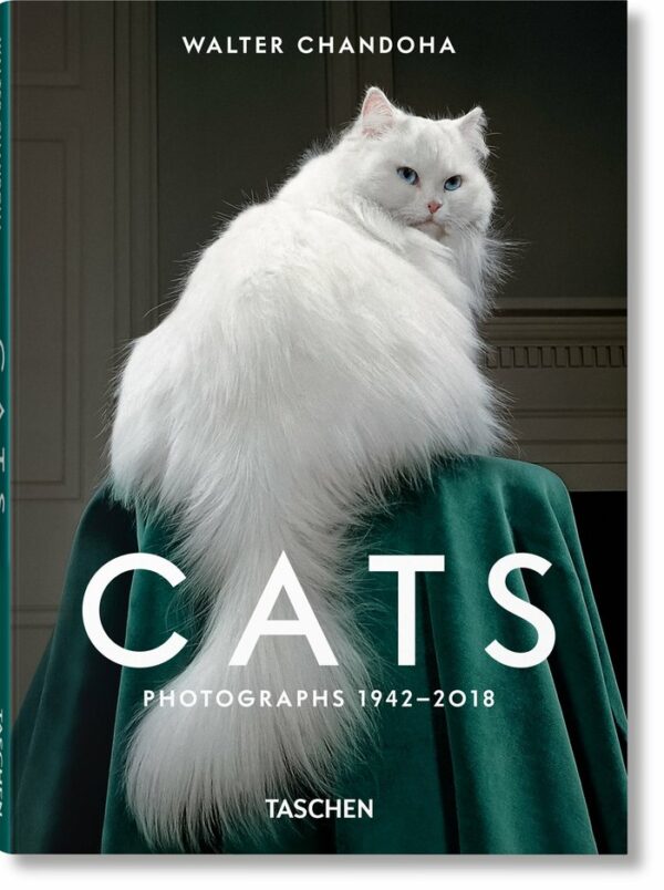 PHOTOGRAPHIES DE CHATS DE WALTER CHANDOHA 1942 2018 - MICHALS, SUSAN