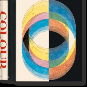 THE BOOK OF COLOR CONCEPTS - LOSKE,ALEXANDRA/LOWENGARD,SARAH