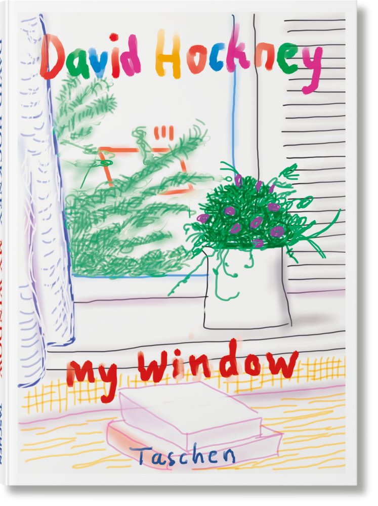 DAVID HOCKNEY MA FENÊTRE -