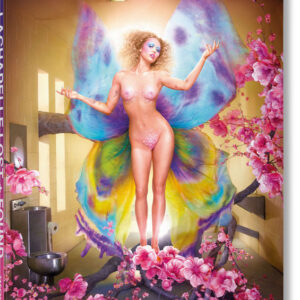 DAVID LACHAPELLE LOST + FOUND -