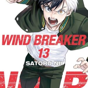 WIND BREAKER 13 - SATORU NII
