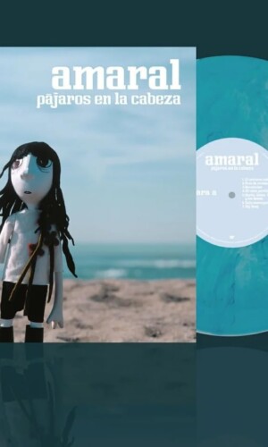 amaral pajaros cabeza redicion 20
