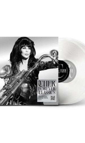 double compilation vinyle LP Cher, disque argenté et transparent