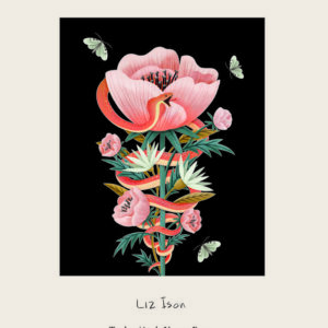 POEMAS PARA ALMAS TORTURADAS - ISON,LIZ - VR EUROPA