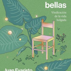 EL DERECHO A LAS COSAS BELLAS - JUAN EVARISTO VALLS BOIX - ARIEL