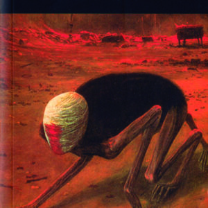 CASA EN EL CONFIN DE LA TIERRA,LA - HODGSON,WILLIAM HOPE - VALDEMAR