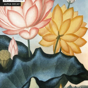 HIJO CAMBIADO,EL - WILLIAMS,JOY - ALPHA DECAY