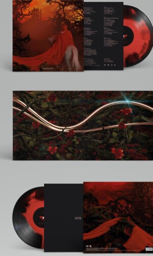 Disco vinilo casanova de recycled j