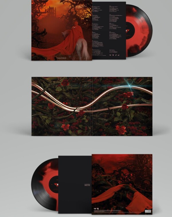 Disco vinilo casanova de recycled j