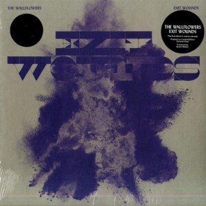 the wallflowers album vinyl lp indie alternative jacob dylan bob