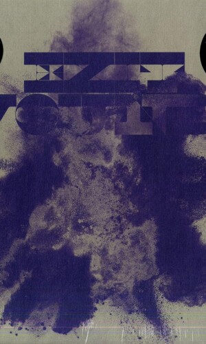 the wallflowers album vinyl lp indie alternative jacob dylan bob