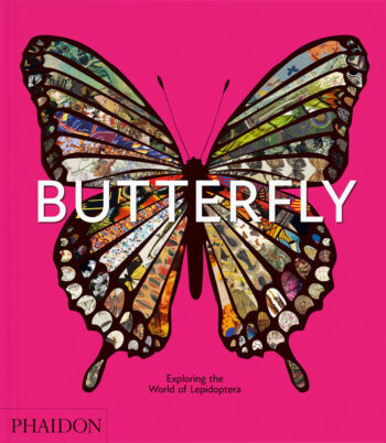 BUTTERFLY - AA,VV - PHAIDON INGLES