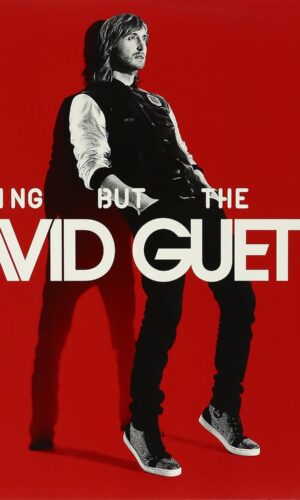 david guetta vinyl record lp nothing but the beat