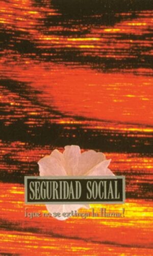 seguridad llama chiquilla nextinga lp vinilo pop rock punk