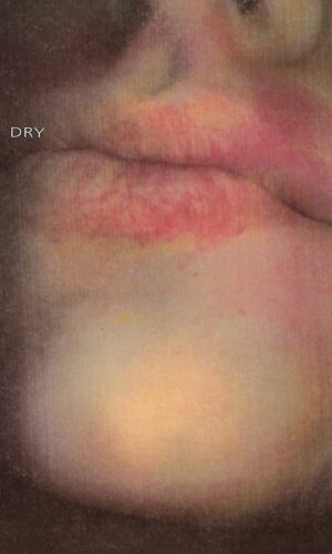 disco vinilo ph harvey dry