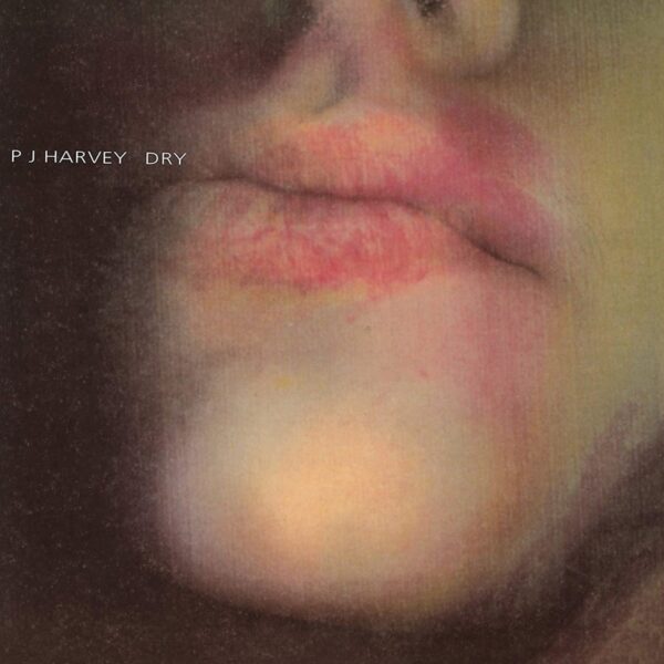 disco vinilo ph harvey dry