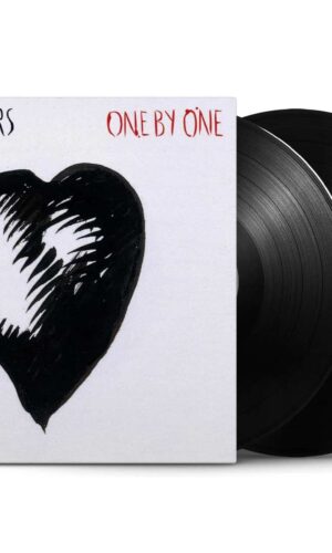disco vinilo doble de foo fighters one by one