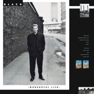 Wonderful Life - Black - CD - Pop / New Wave - Usado