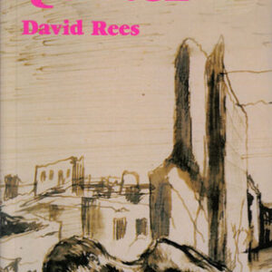 QUINCE - David Rees - Novela homo-erotica - Usado Inglés