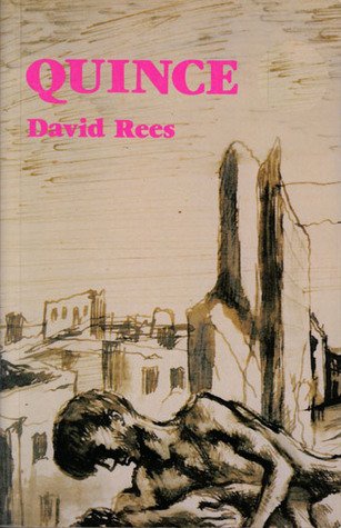 QUINCE – David Rees – Novela homo-erotica – Usado Inglés – Wham!…